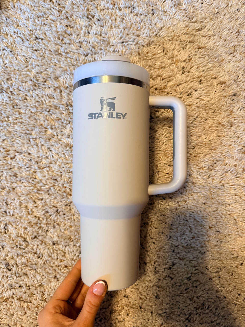 Stanley Matte Cream Insulated Bottle with Handle